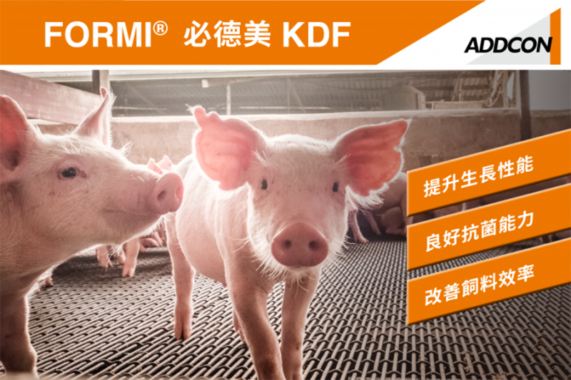 kdf-cover