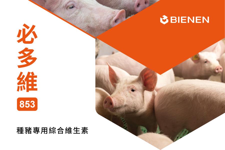 必多維853
