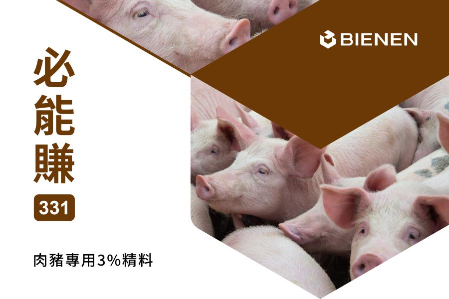 必能賺331