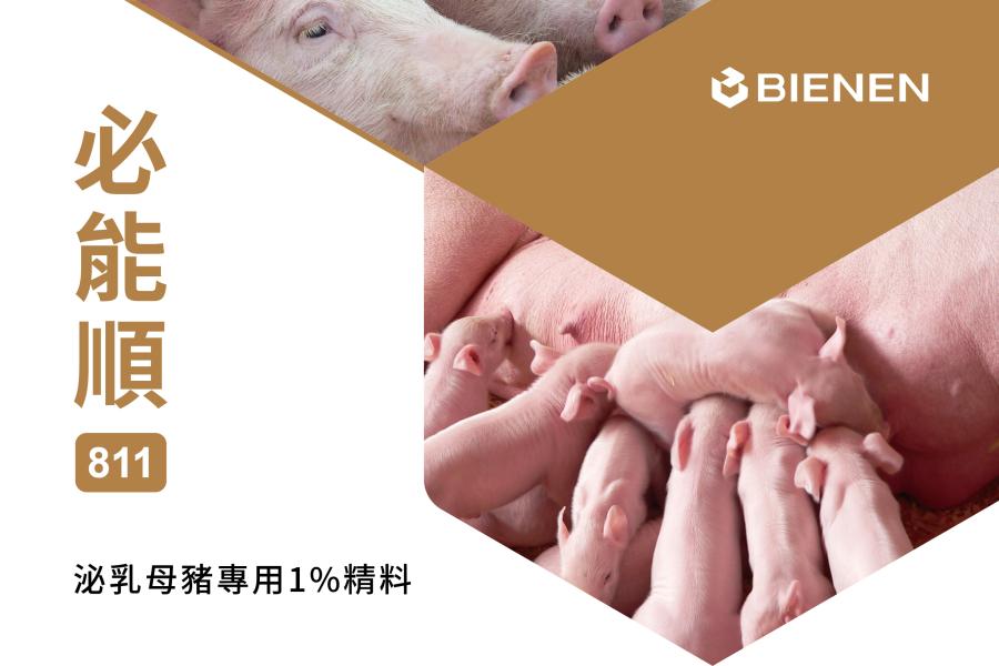 必能順811