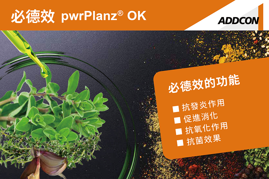pwrPlanz® OK