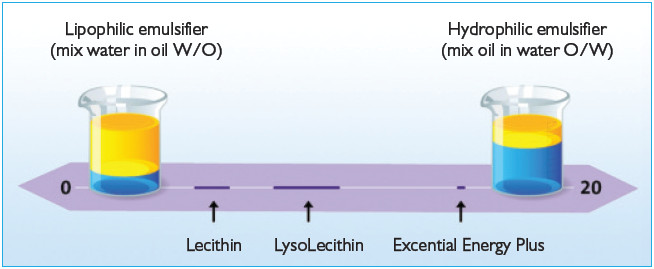 HLB