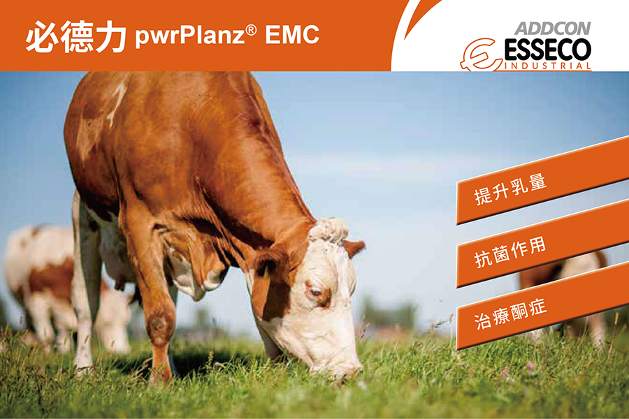 必德力pwrPlanz® EMC牛用